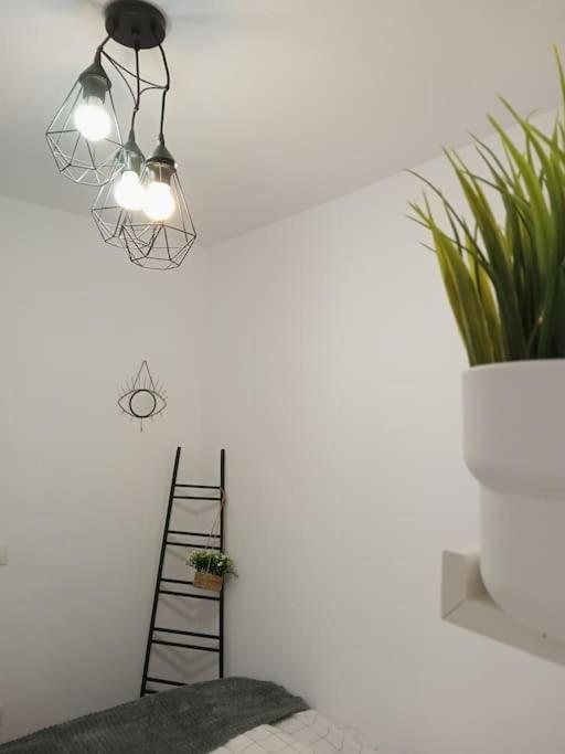 Precioso Apartamento Con Terraza En Piso Superior Los Realejos Buitenkant foto