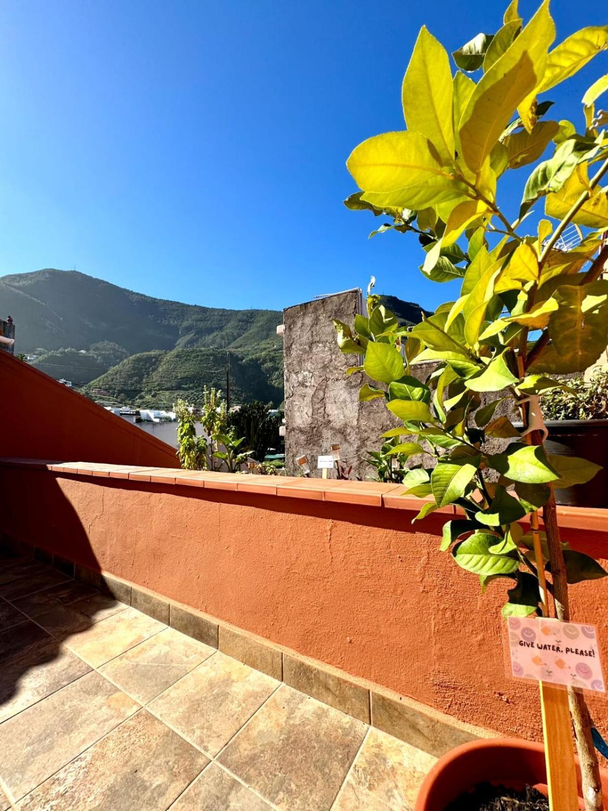 Precioso Apartamento Con Terraza En Piso Superior Los Realejos Buitenkant foto